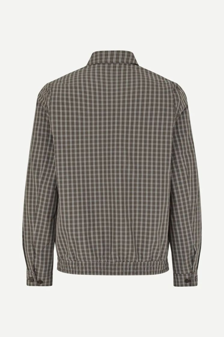 Sabeck BLACK OLIVE CH.