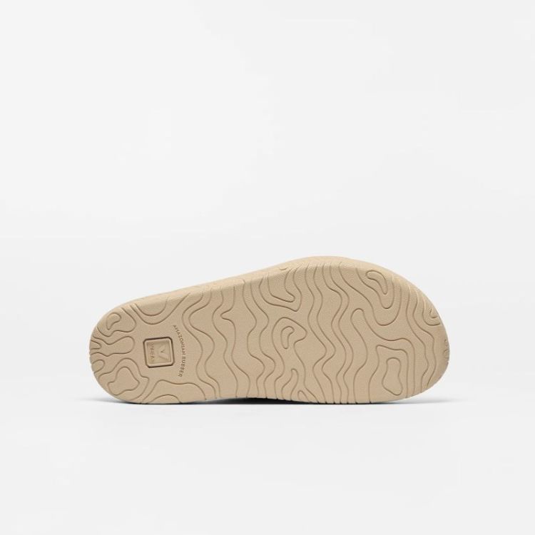  TAUPE_ALMOND