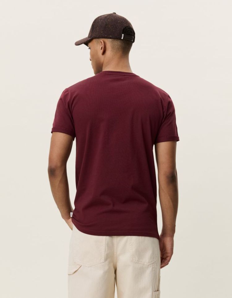 Core Seasonal T-shirt 654 CHOCOLATE T
